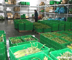 塑料周轉筐能用多少年？