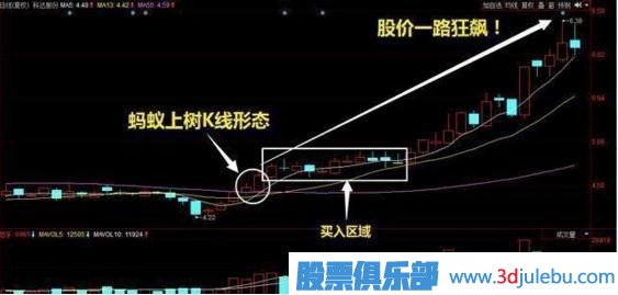 炒股出現的“螞蟻上樹(shù)”形態(tài)，記住趕緊跟上