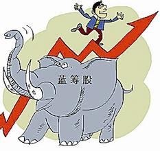 藍籌股是什么意思？