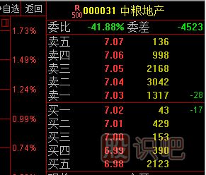 股票盤(pán)口掛單的大壓?jiǎn)我约按笸袉谓庾x